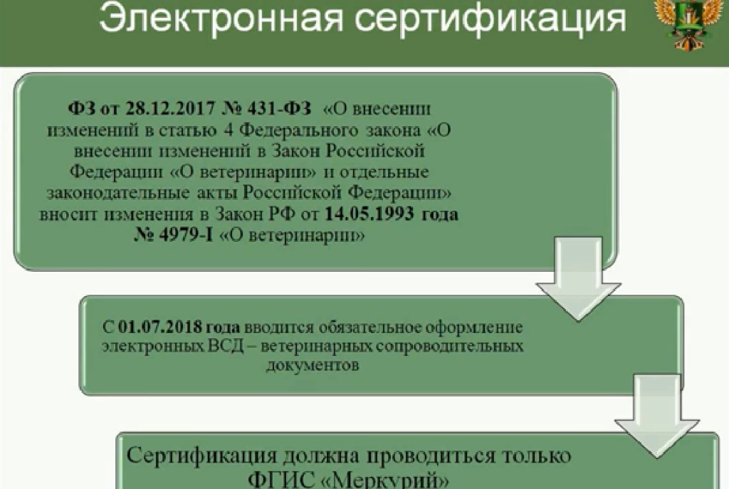 Регистрация ООО в Воронеже в 2023 году: пошаговая инструкция